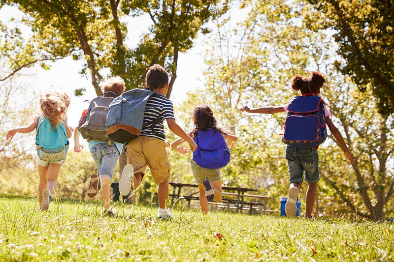 Férias escolares menos tecnológicas: 5 dicas