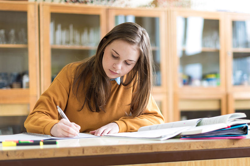 Apoio escolar: soluções de estudo para cada ciclo