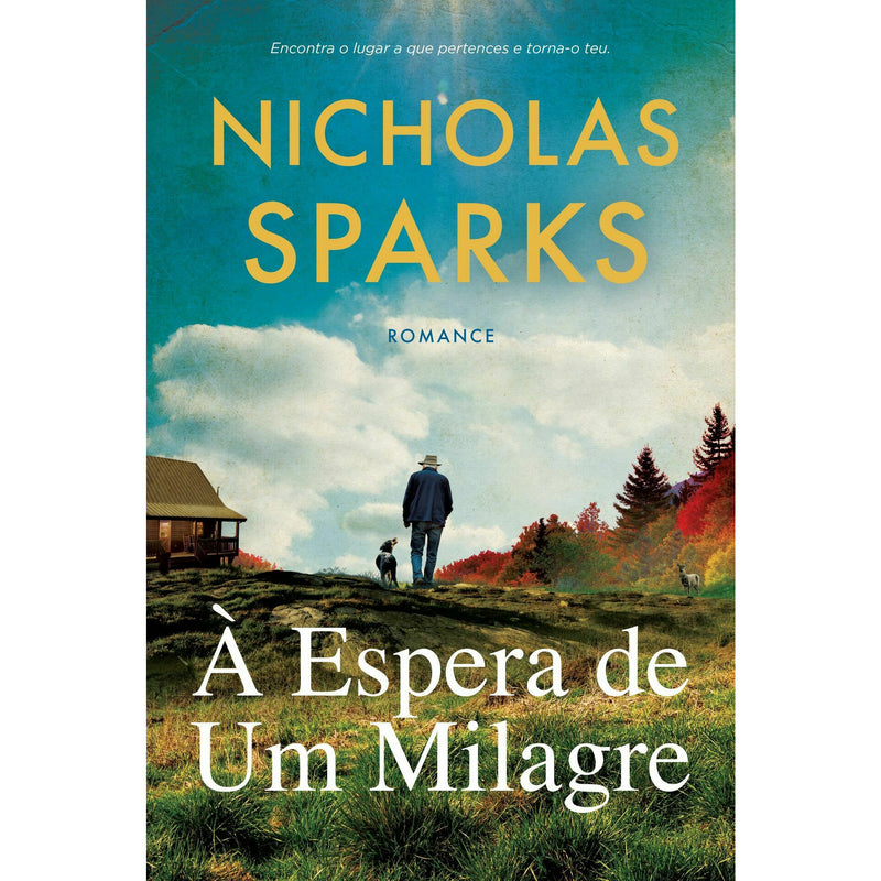 À Espera de um Milagre de Nicholas Sparks